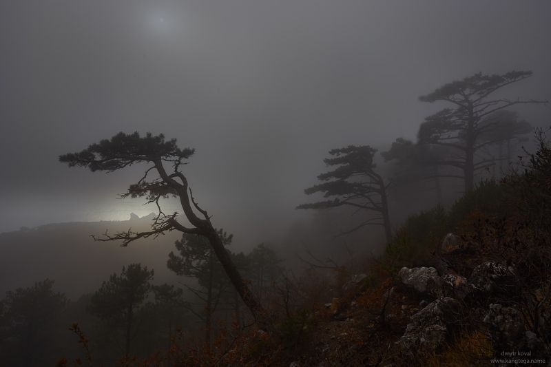 пейзажемагьё, пейзаж-как-виденье Тянущиеся к Дивному свету фото превью