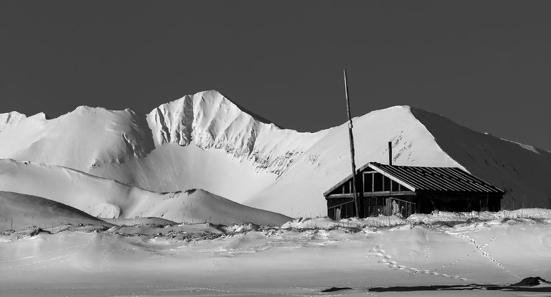 Чёрно-белые Командоры фото превью