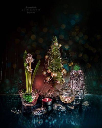 Ёлочка-ёлочка