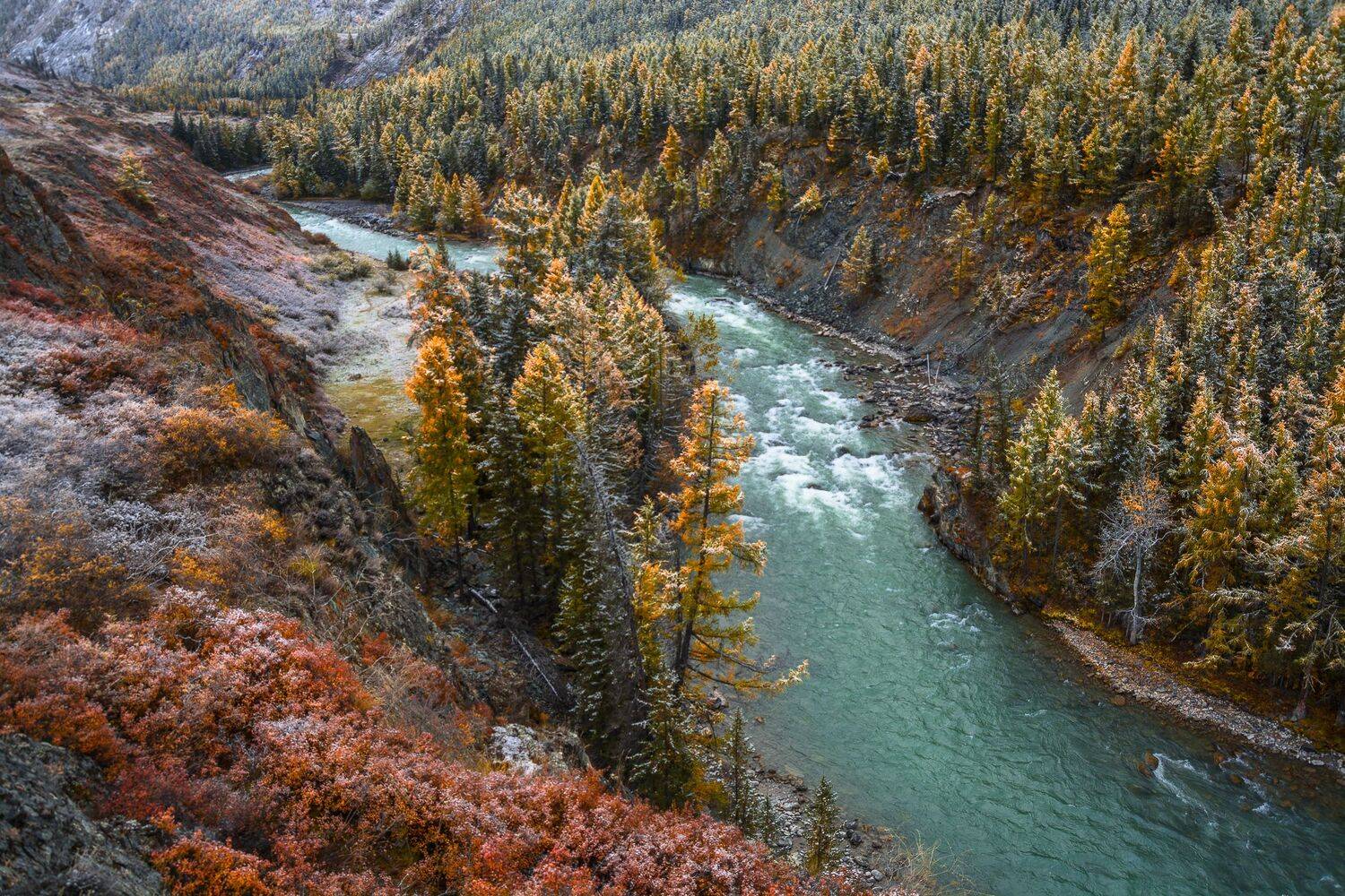 россия, горный алтай, река чуя, осень, Андрей Поляков