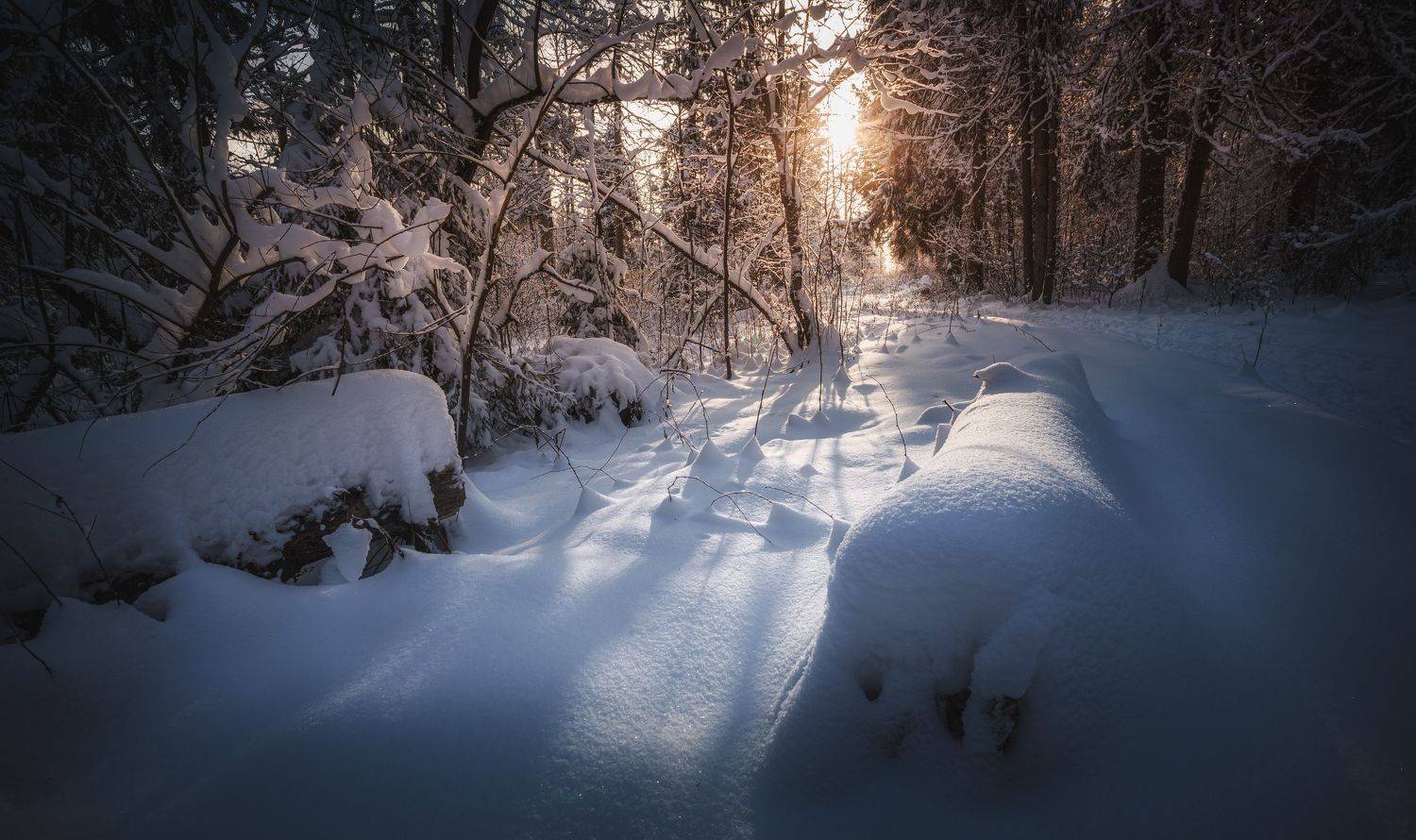зима Московская обл. природный резерват "Долина реки Вяземка", Зеленько Дмитрий