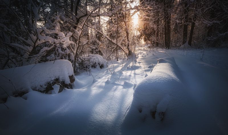 зима Московская обл. природный резерват \