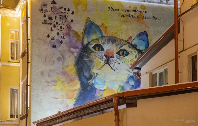 граффити, Зеленоградск, Россия, искусство, фотография, кот, Свирин Вадим, 2022, крыша, улица, свет «Зеленоградское граффити» фото превью