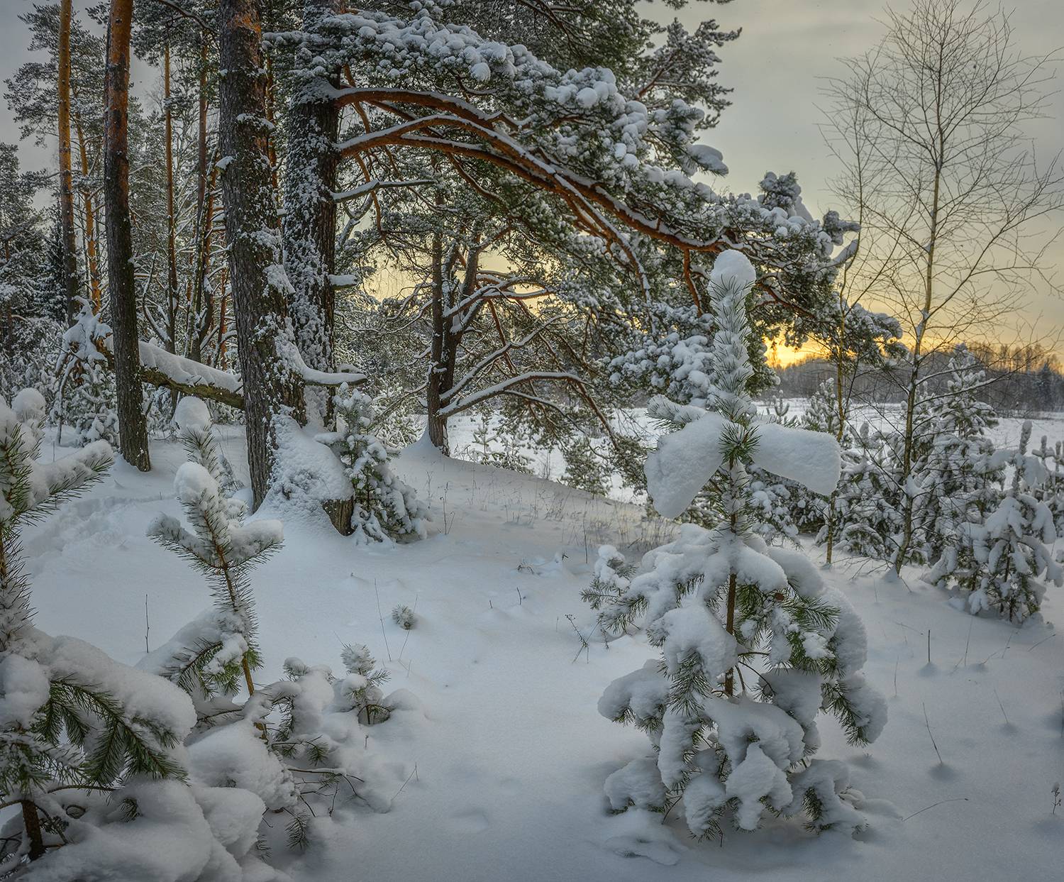 , Андреев Николай