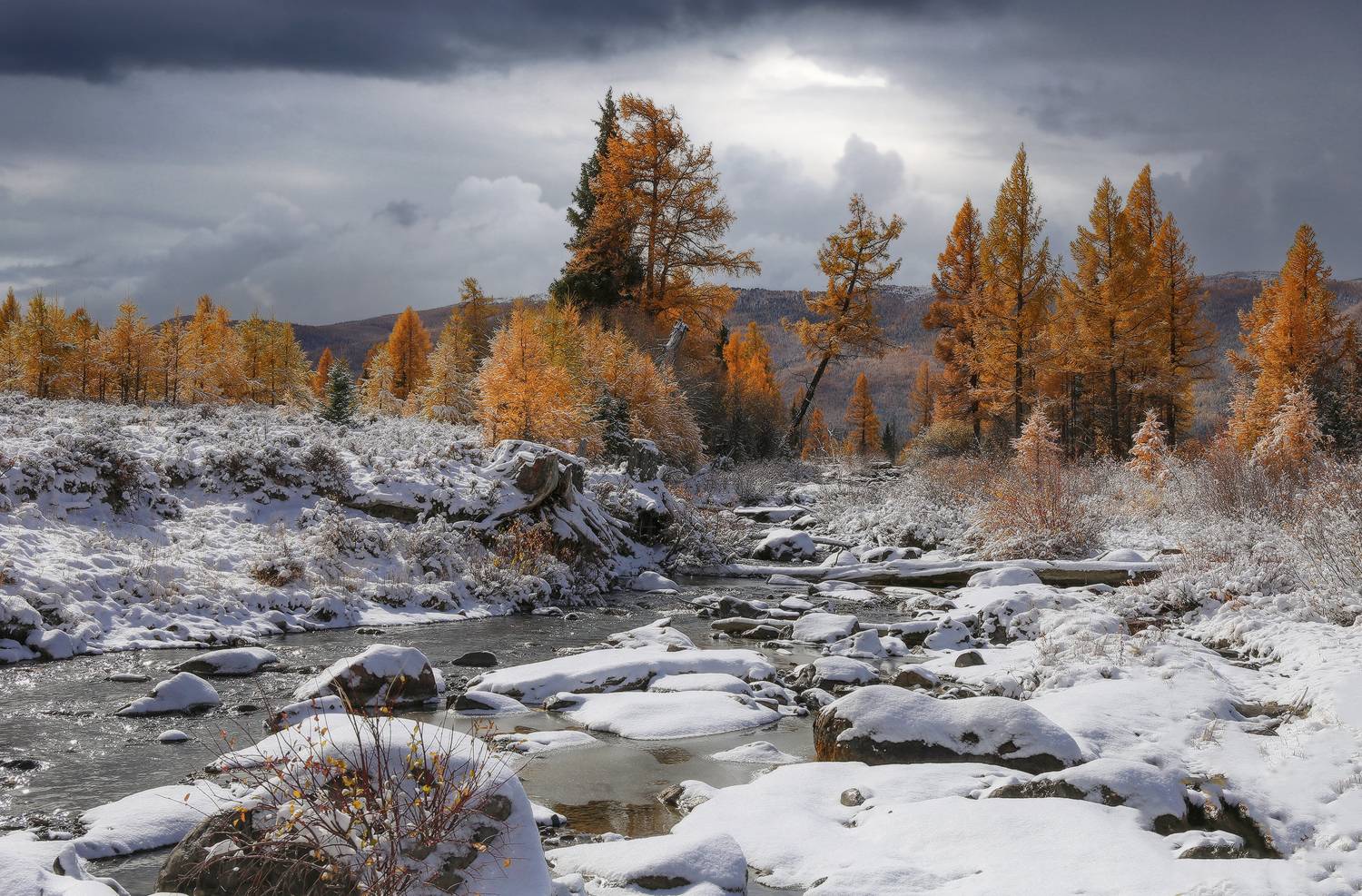 , Галина Хвостенко