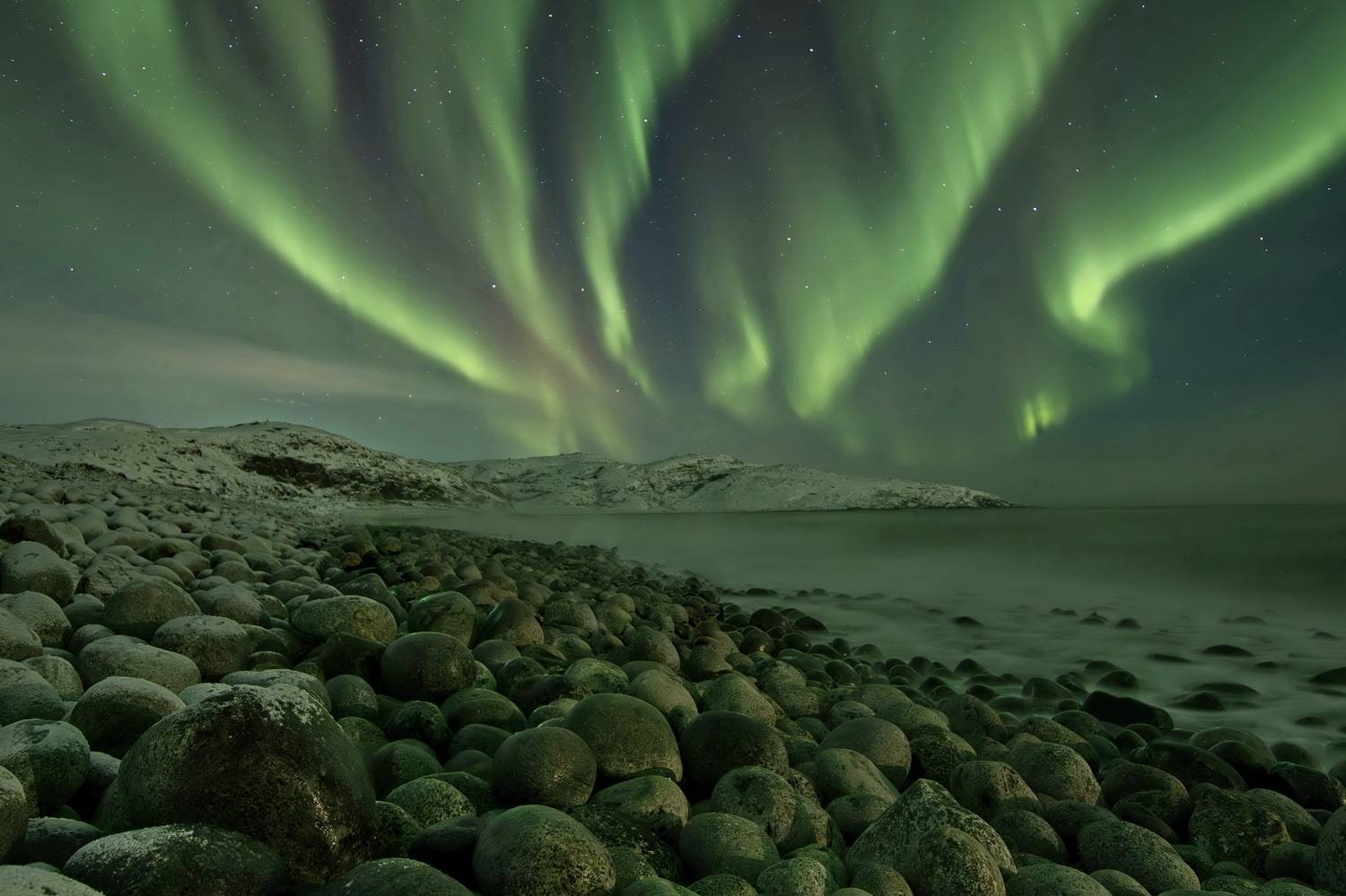 , Добролюбова Тамара