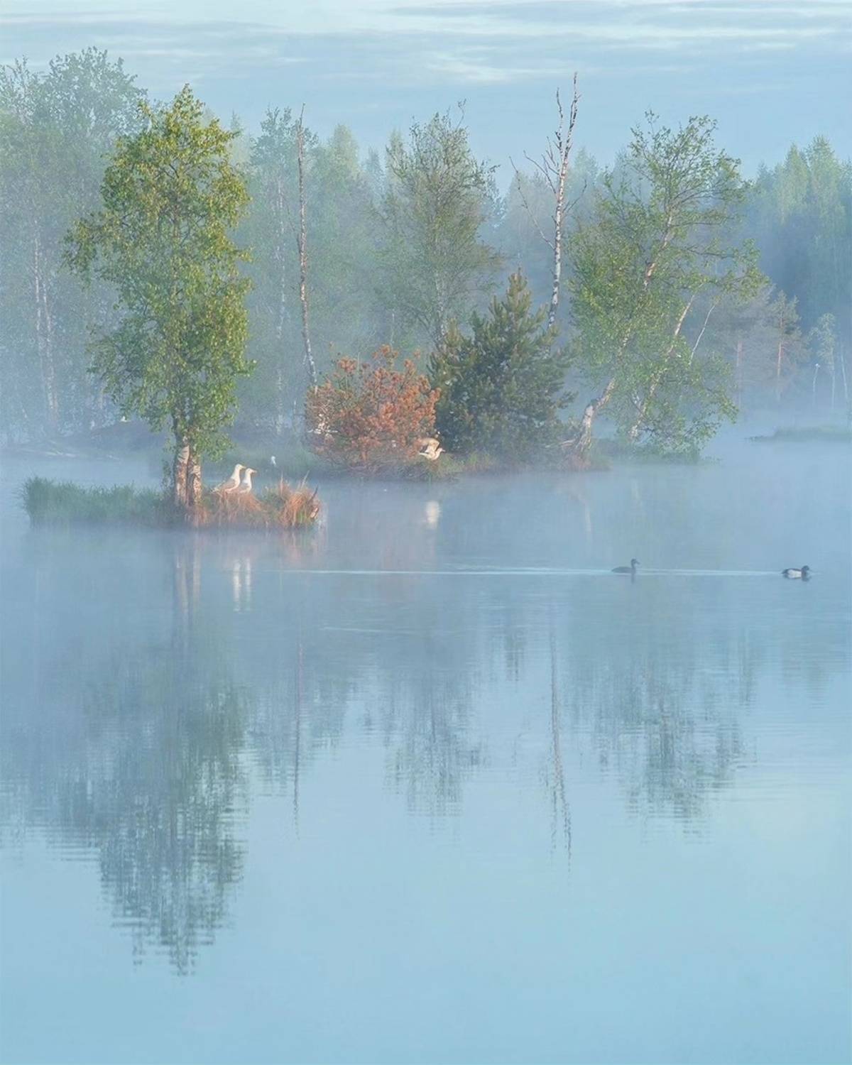 , Петр Косых