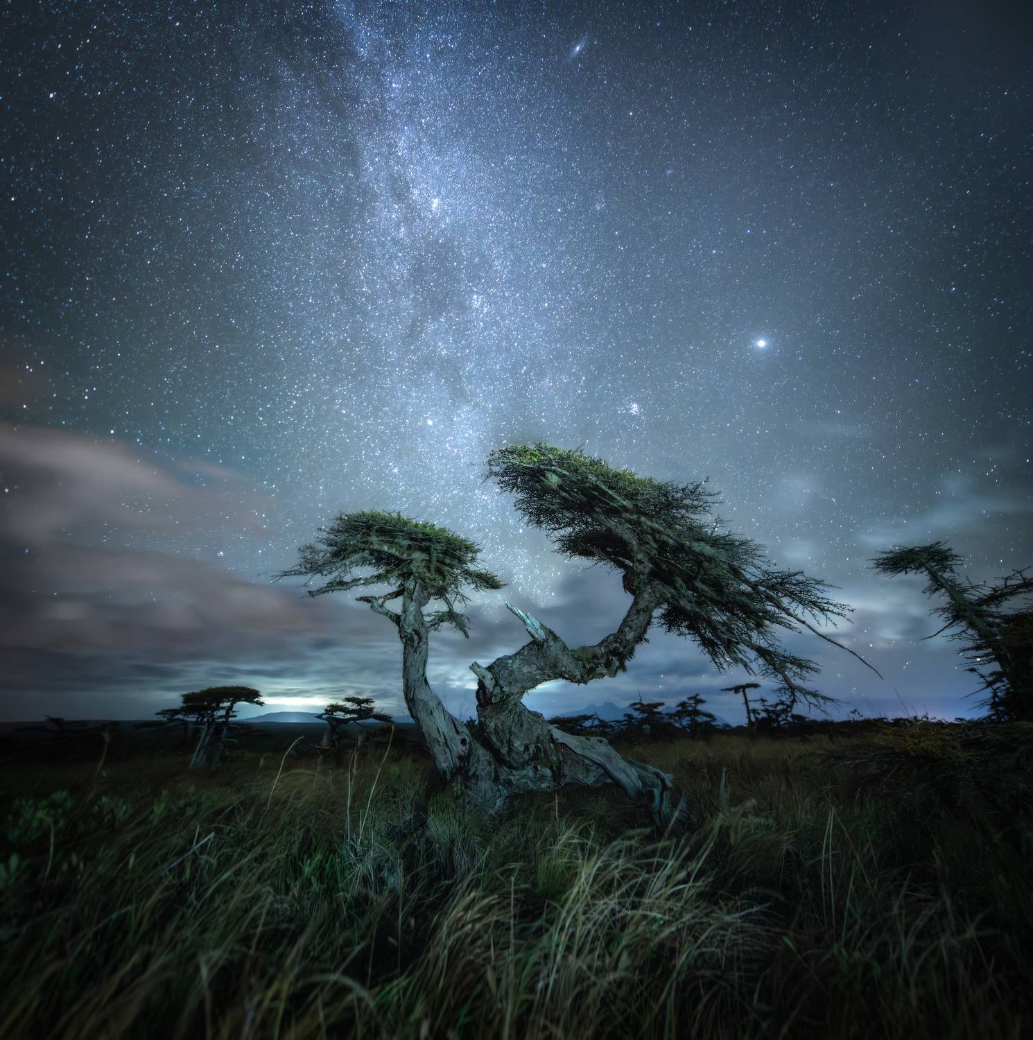 курилы, Андрей Грачев