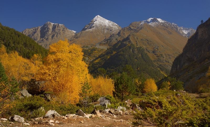 Осень в Узунколе фото превью