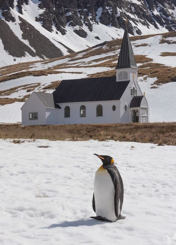 Прихожанин фото превью
