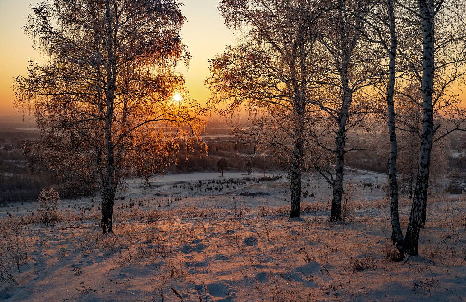 , Алексей Хахлов