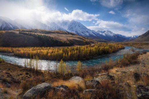 Улыбка Аргута
