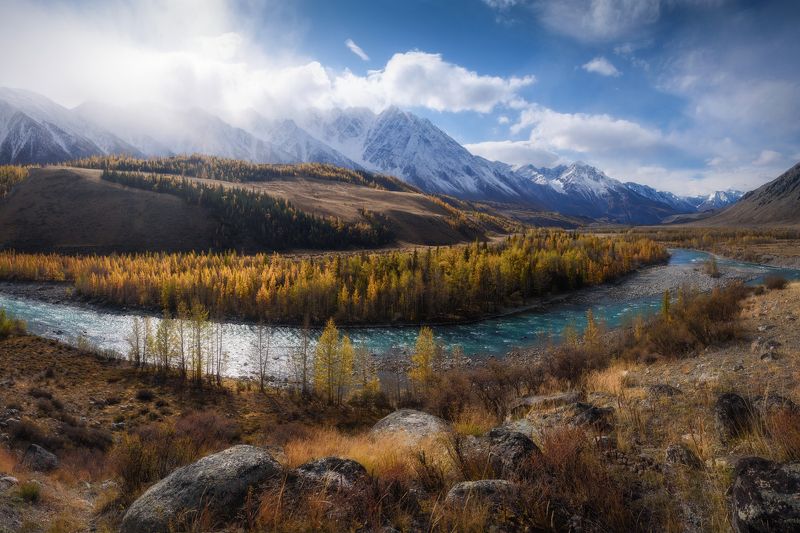 алтай, горный алтай, пейзажи алтая, кош-агачский район, горная река, золотая осень, горы, осенний алтай, горная тайга Улыбка Аргута фото превью