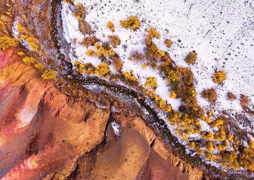 Инь-Ян зимы и осени