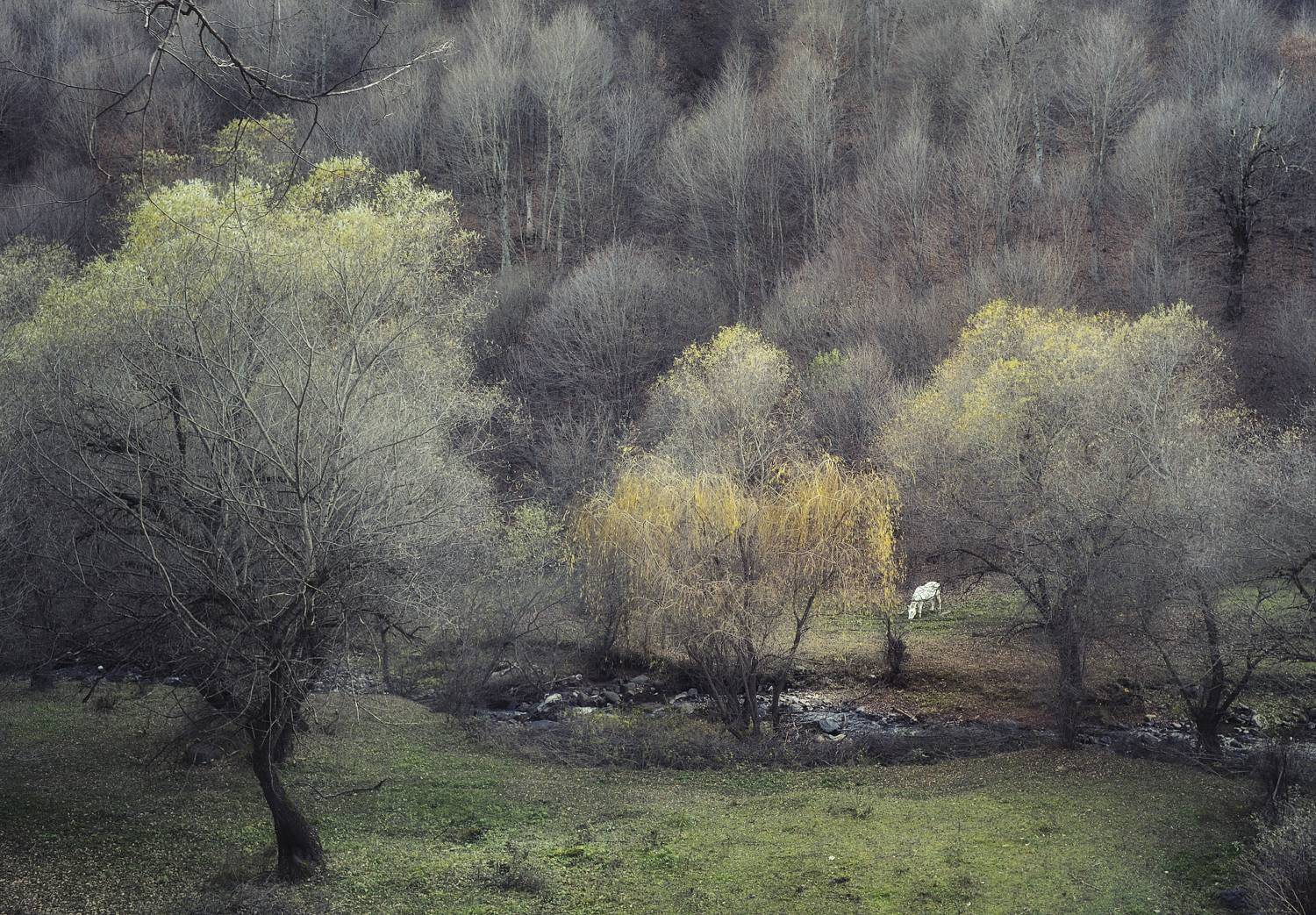 армения, тавуш, горы, ноябрь, Olga N.