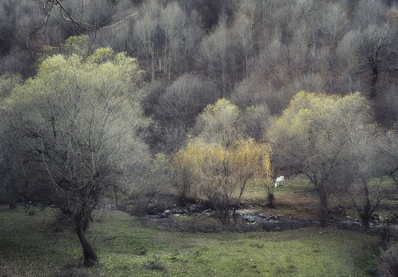 армения, тавуш, горы, ноябрь  фото превью