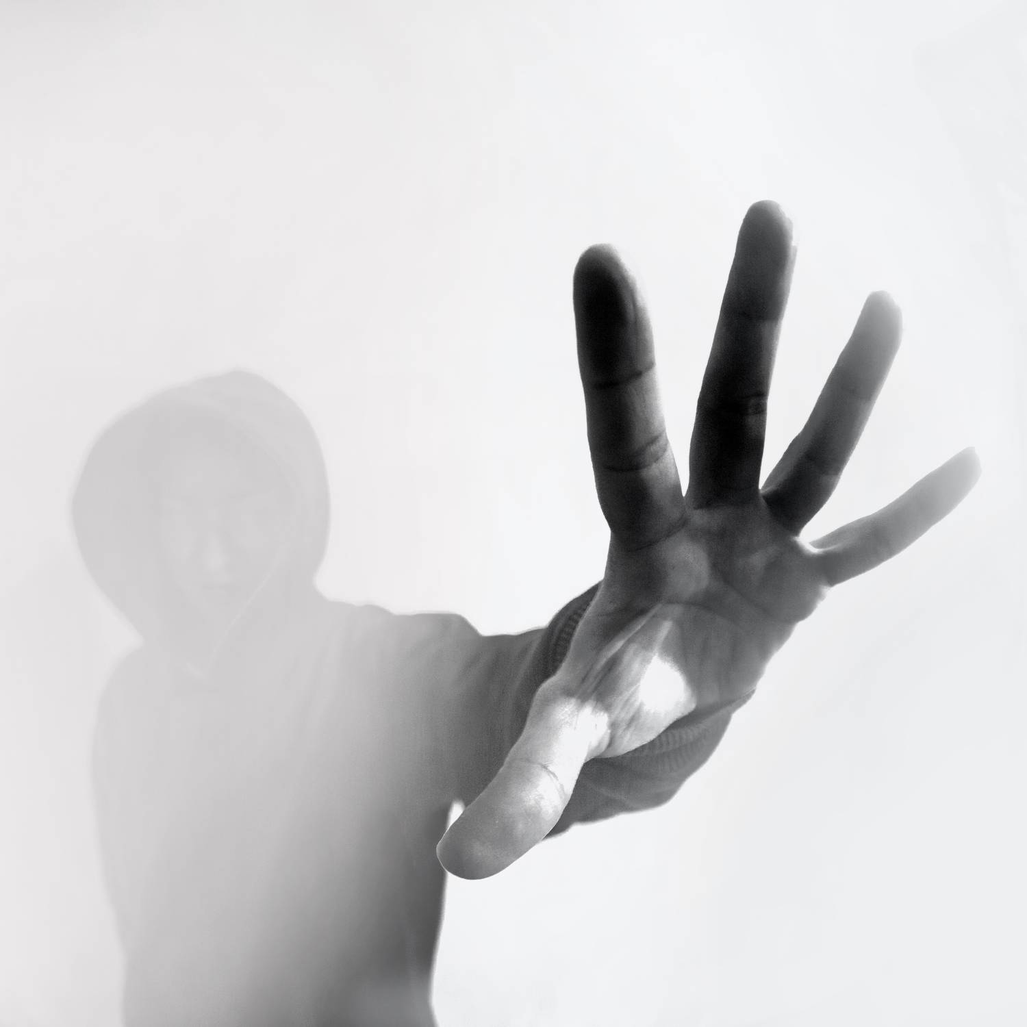 , Алексей Федотов