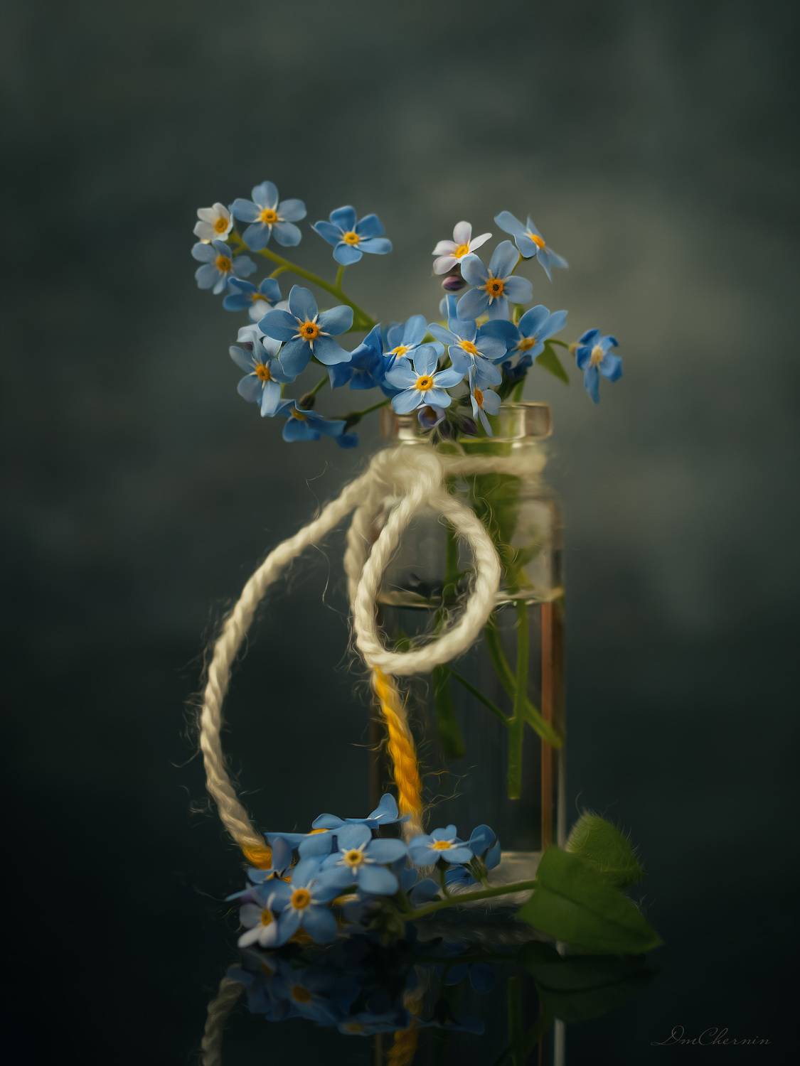 , Чернин Дмитрий