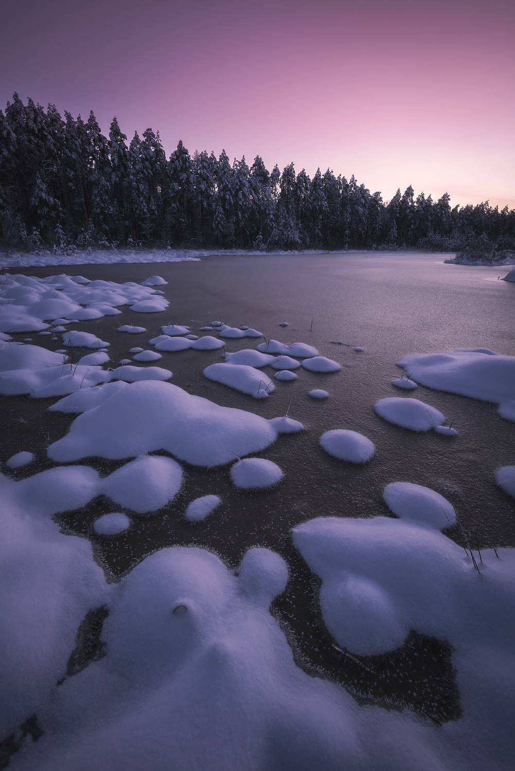 , Захаров Дмитрий