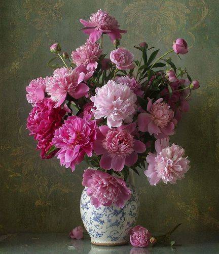 Пионов нежный аромат