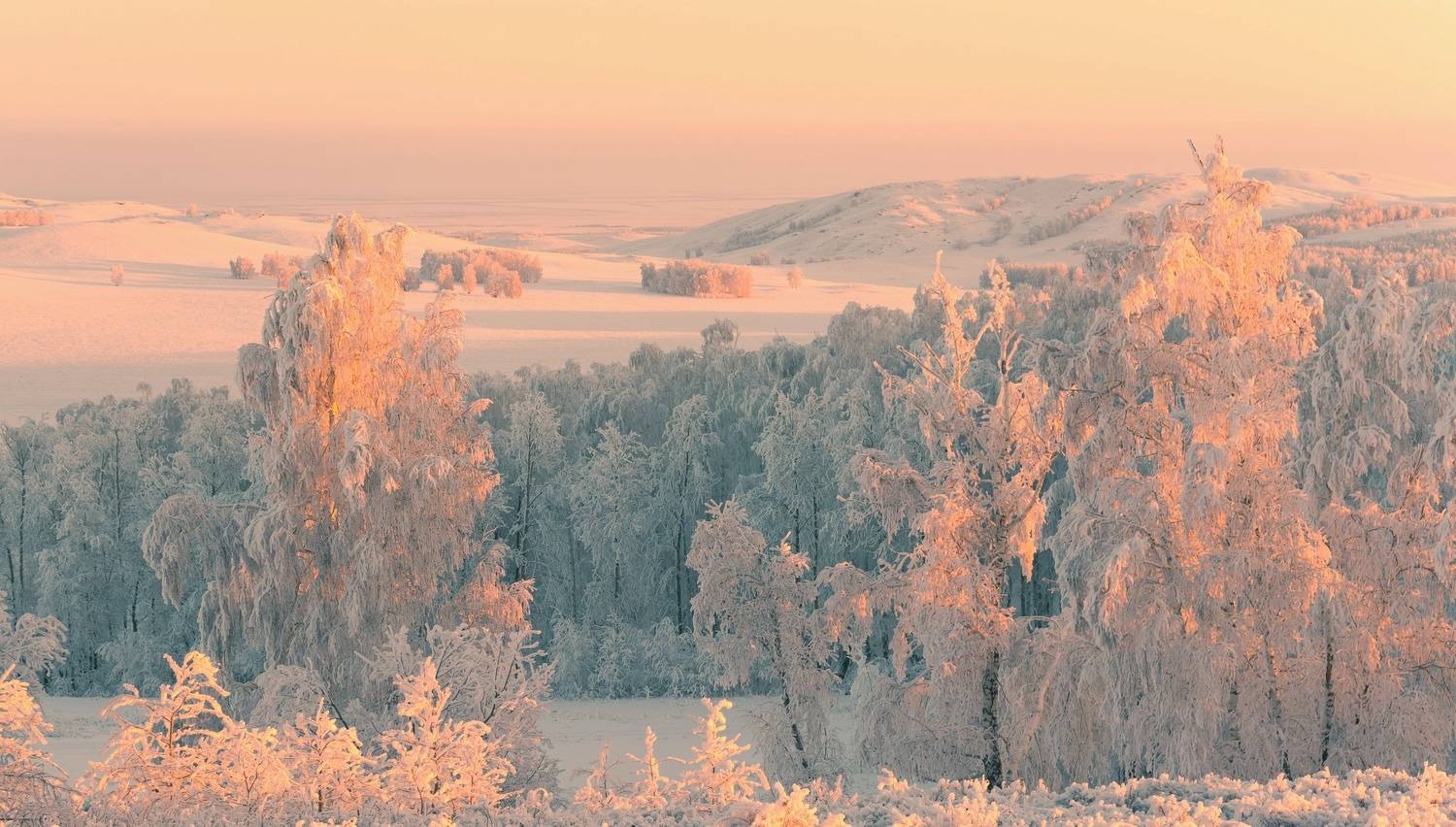 , Шустиков Дмитрий