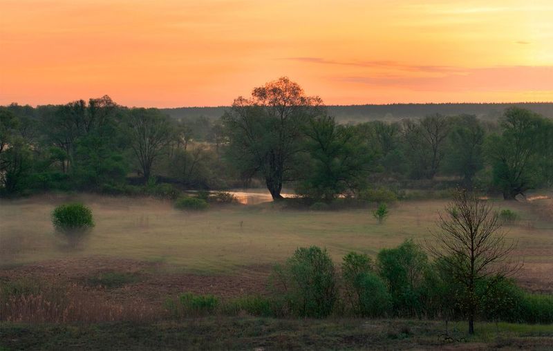 * фото превью