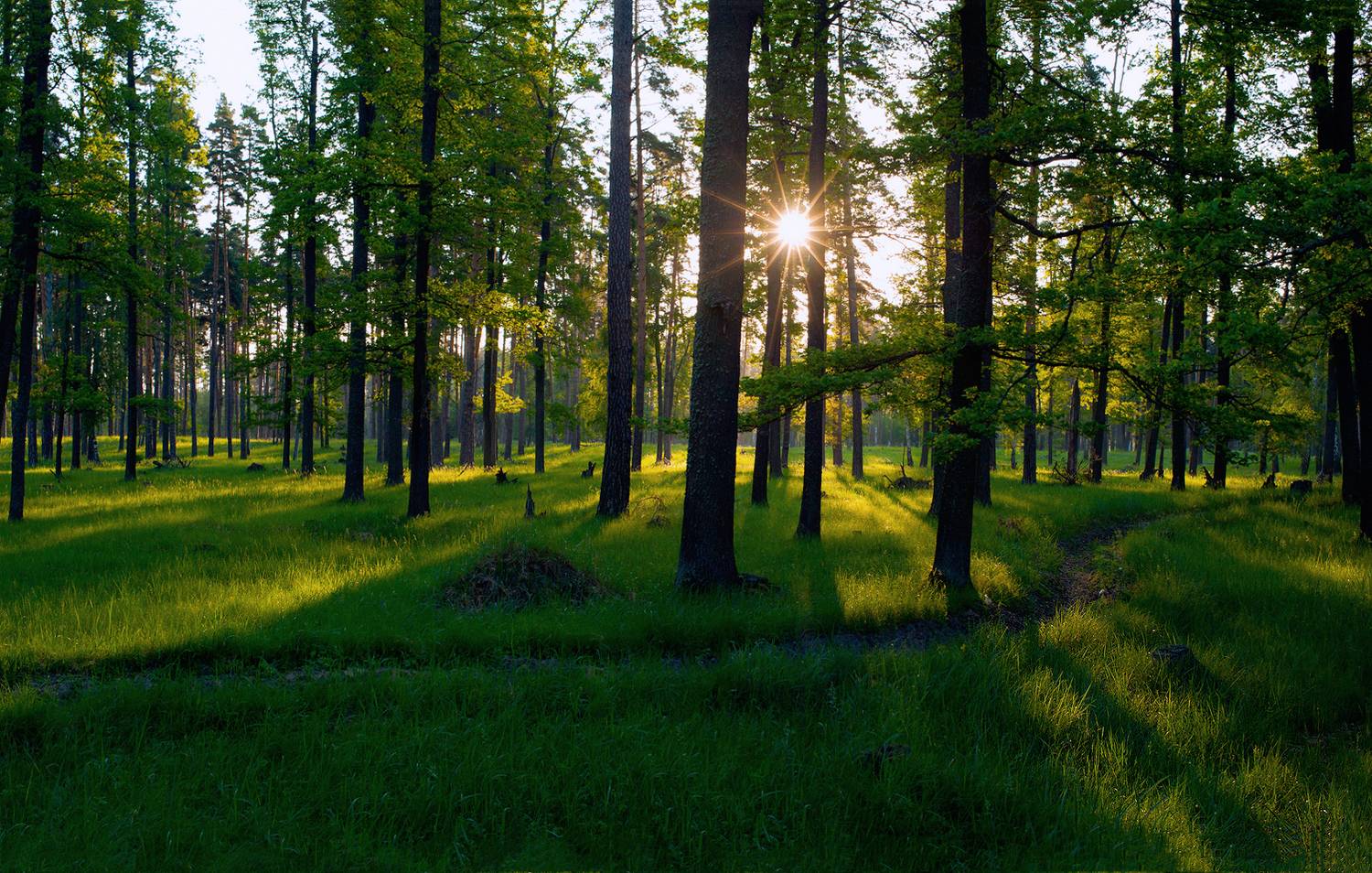 , Рукин Иван