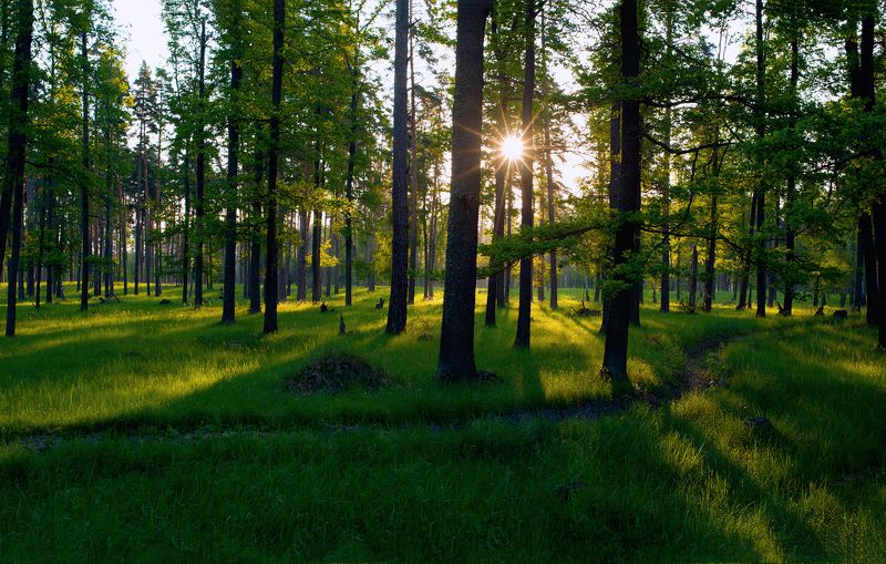 * фото превью