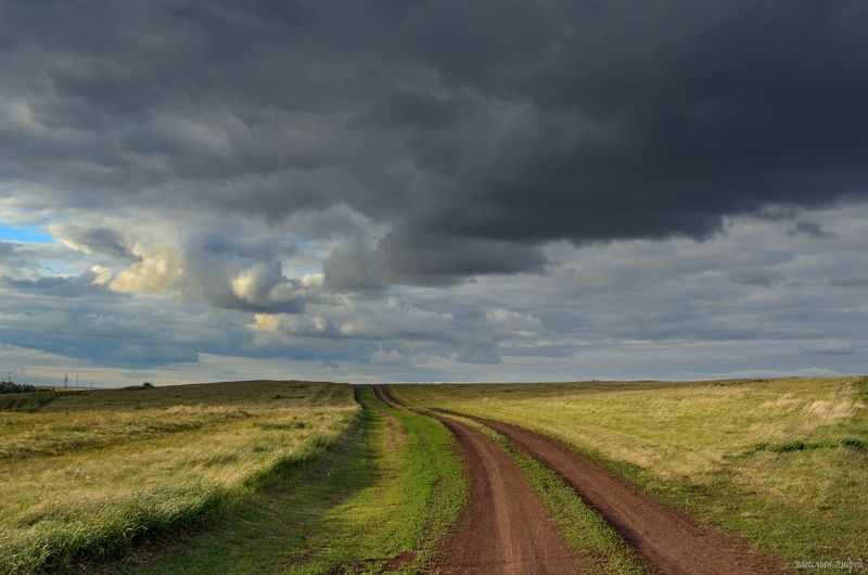 лето, природа, оренбургская область, сырт *** фото превью