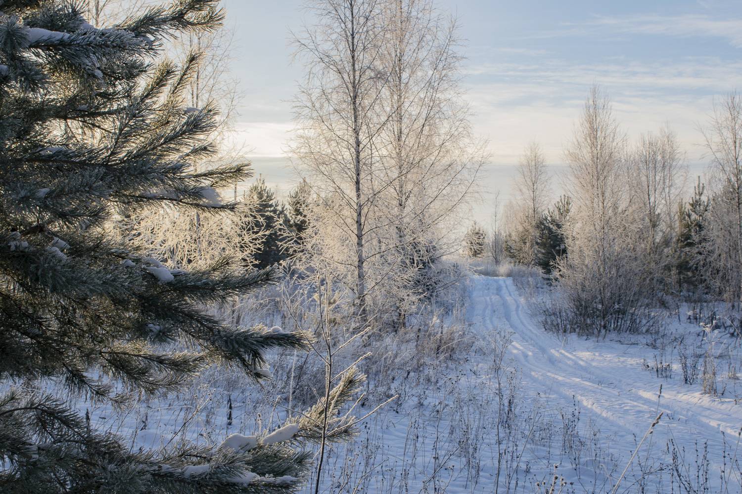 , Галина Луценко