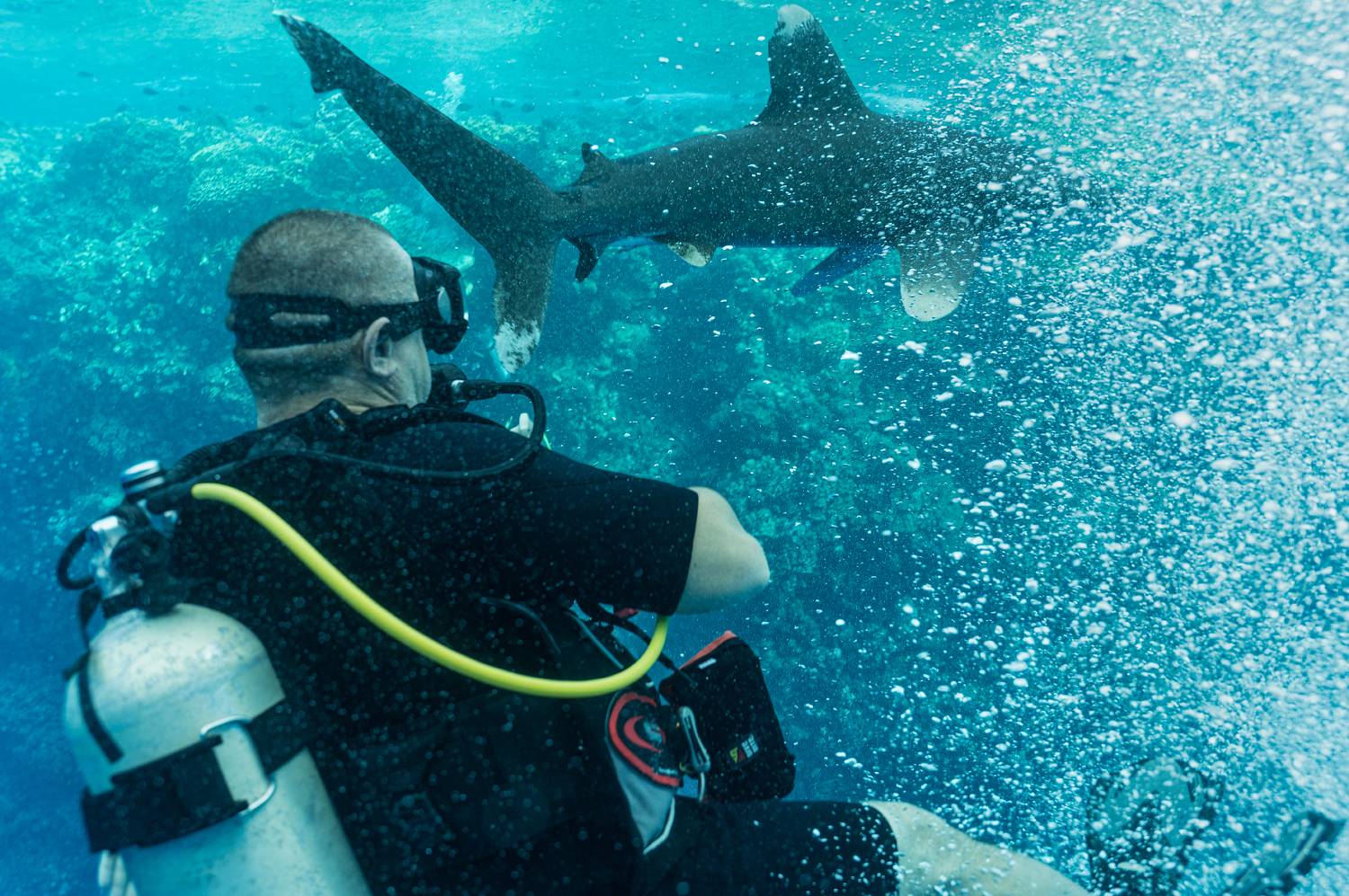 , Валерий Одинцов