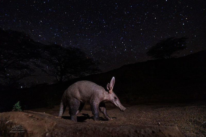 Оконченная история. фото превью