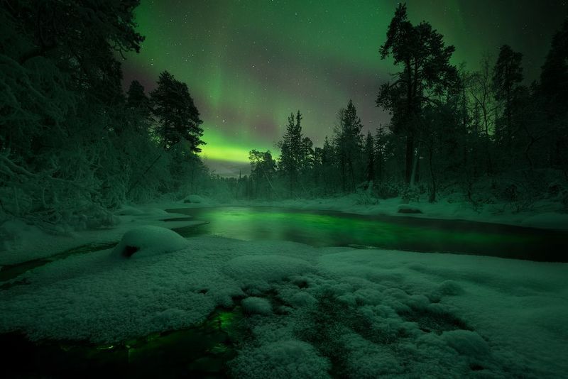 кольский полуостров, кольский, зима, северное сияние, полярное сияние, winter, snow, kola peninsula,  forest, aurora borealis Зимняя сказка фото превью