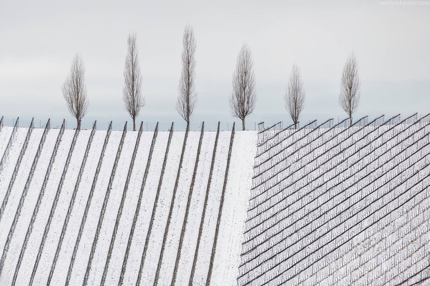 словения, фототур, Василий Яковлев