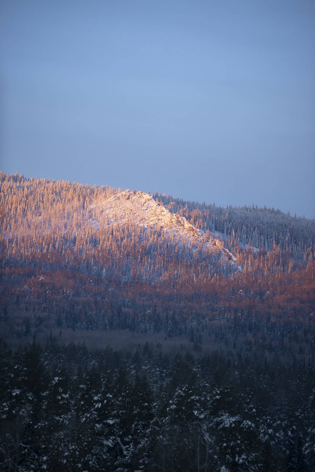 , Антонов Антон