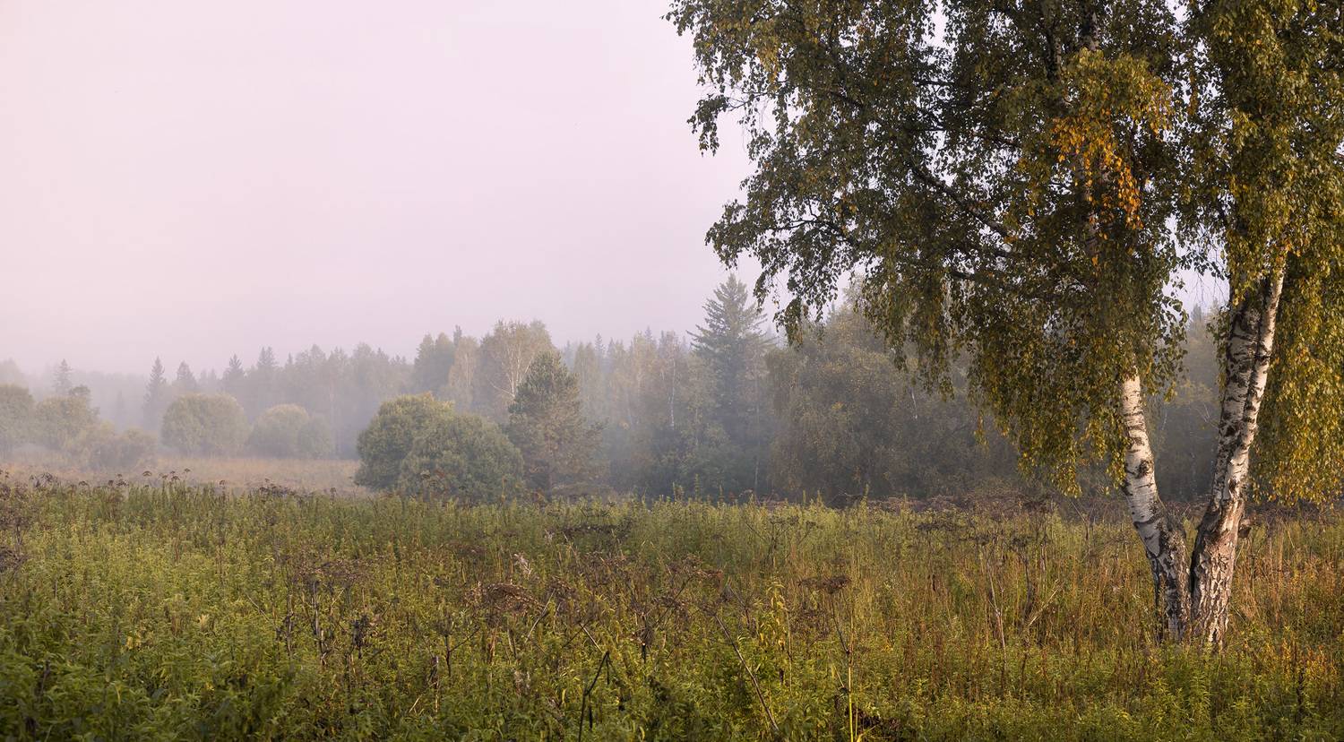 , Алексей Хахлов