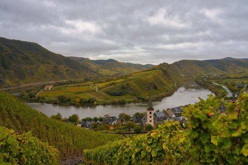 Vineyards