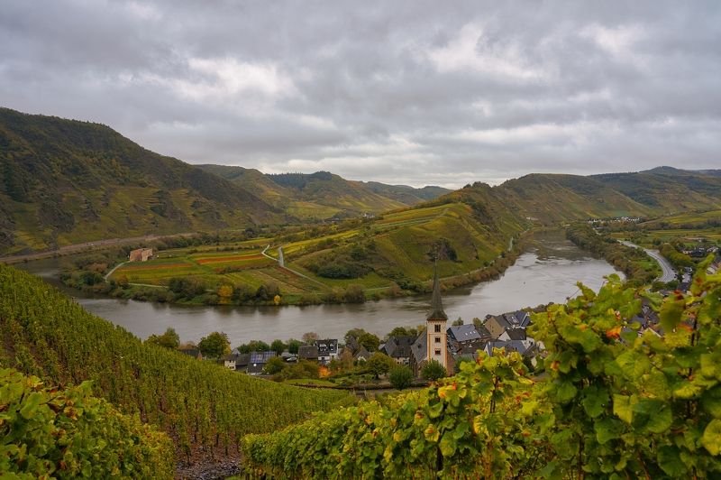 мозельвиноград, рислинг,мозельская петля,кохем замок Vineyards фото превью