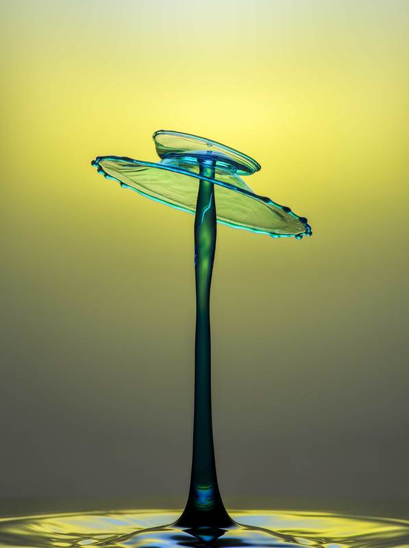 Dances with Drops фото превью