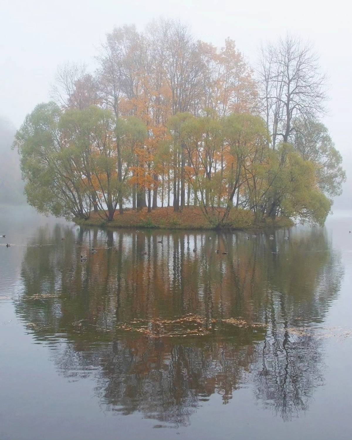 , Петр Косых