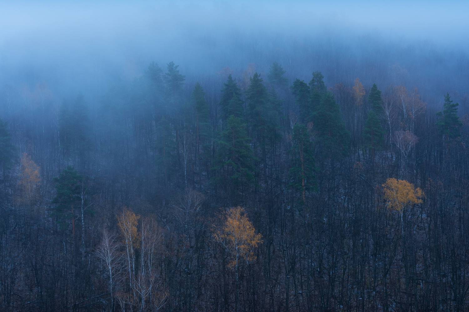 , Алексей Проняхин