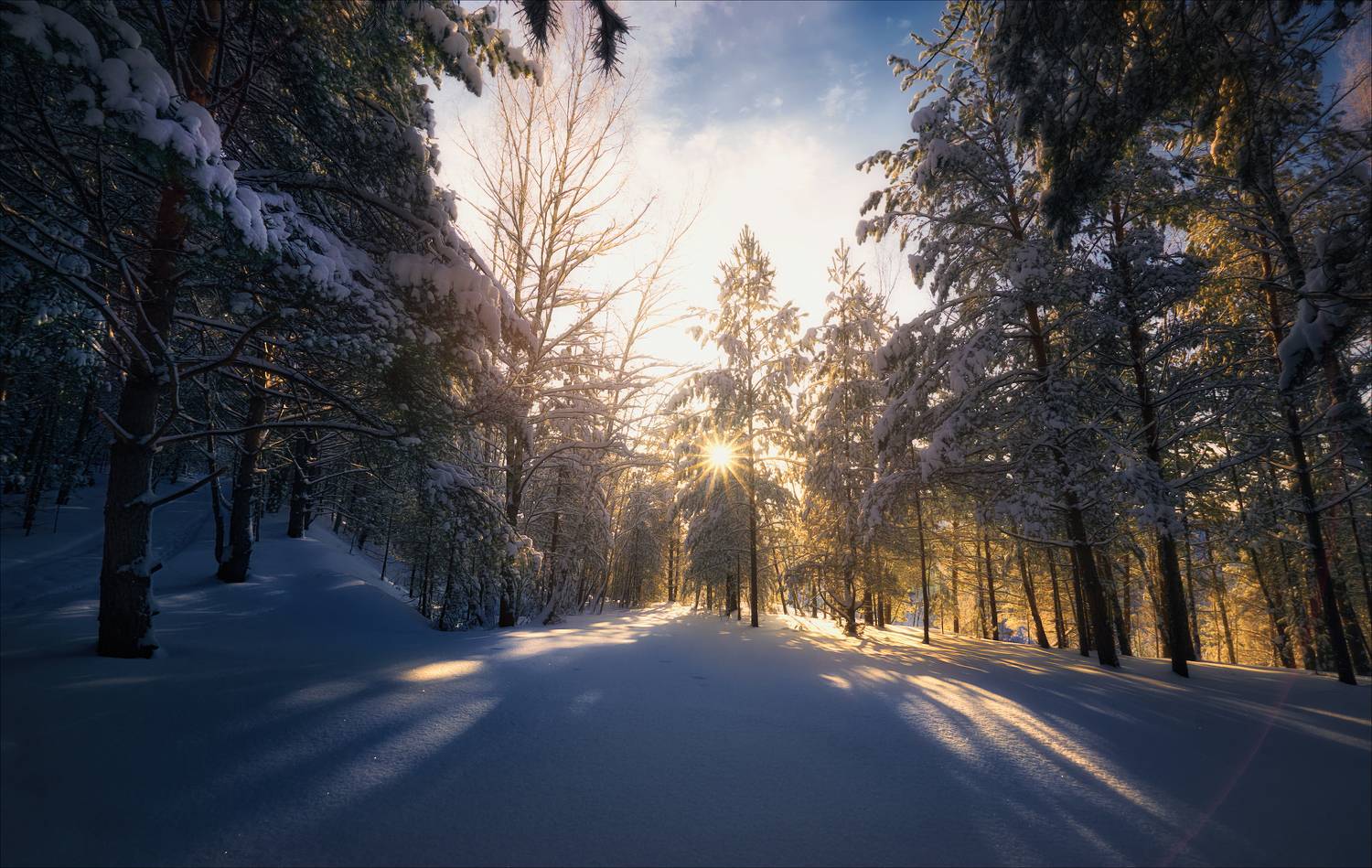 , Богорянов Алексей