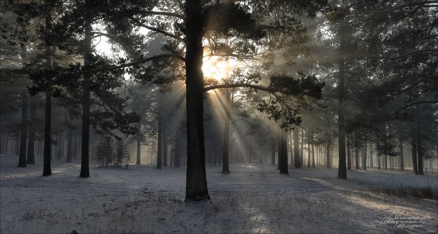 , Александр Леснянский