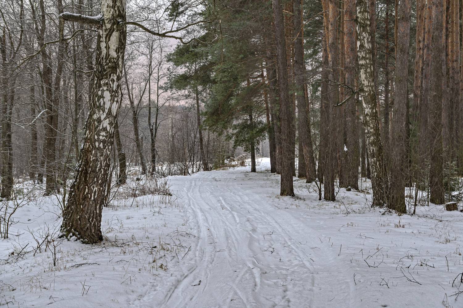 , Шитов Александр