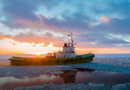 «Бригадир Гусев»