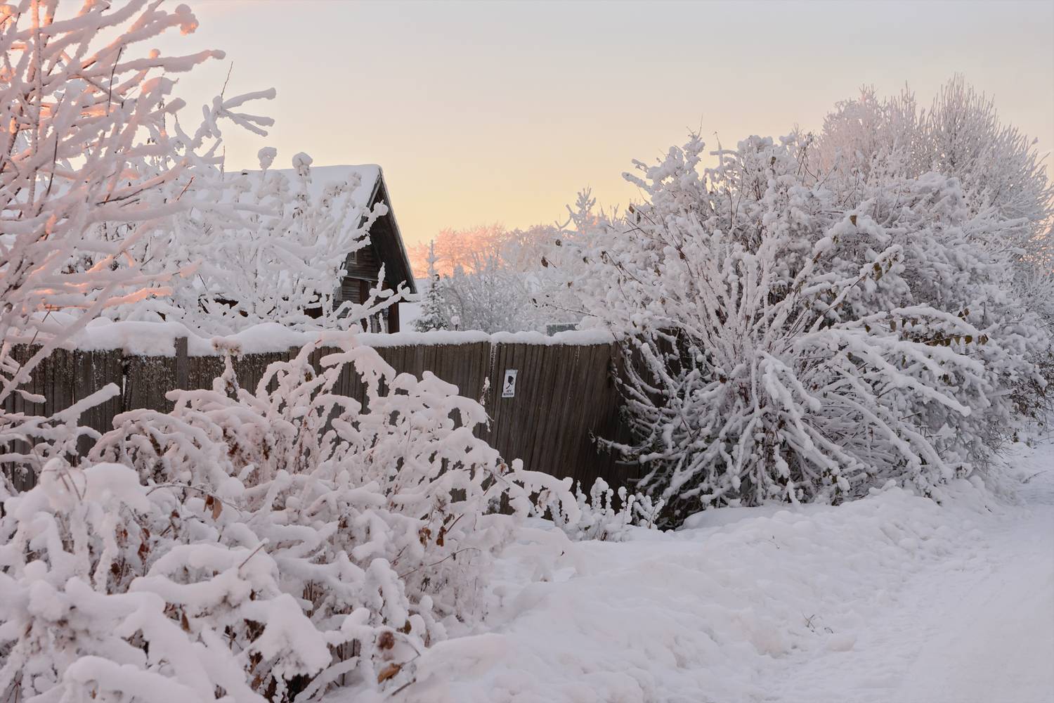 зима, декабрь, иней, мороз, деревья, кусты, дом, забор, соломбала, архангельск, Вера Ра