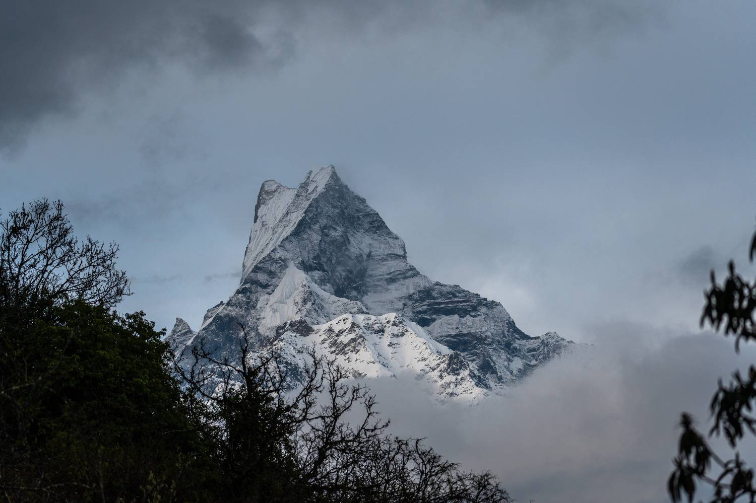 непал, гималаи, горы, мачапучаре, nepal, himalaya, mountains, machapuchare, fishtail, Баландин Дмитрий
