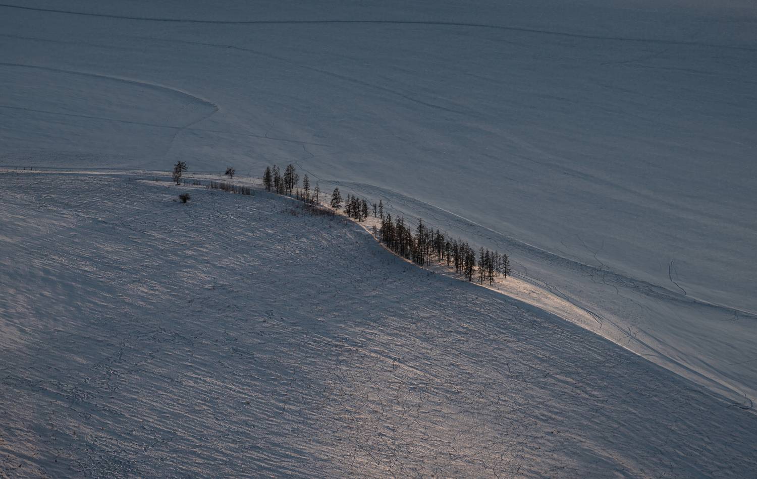, Ляшеев Дмитрий