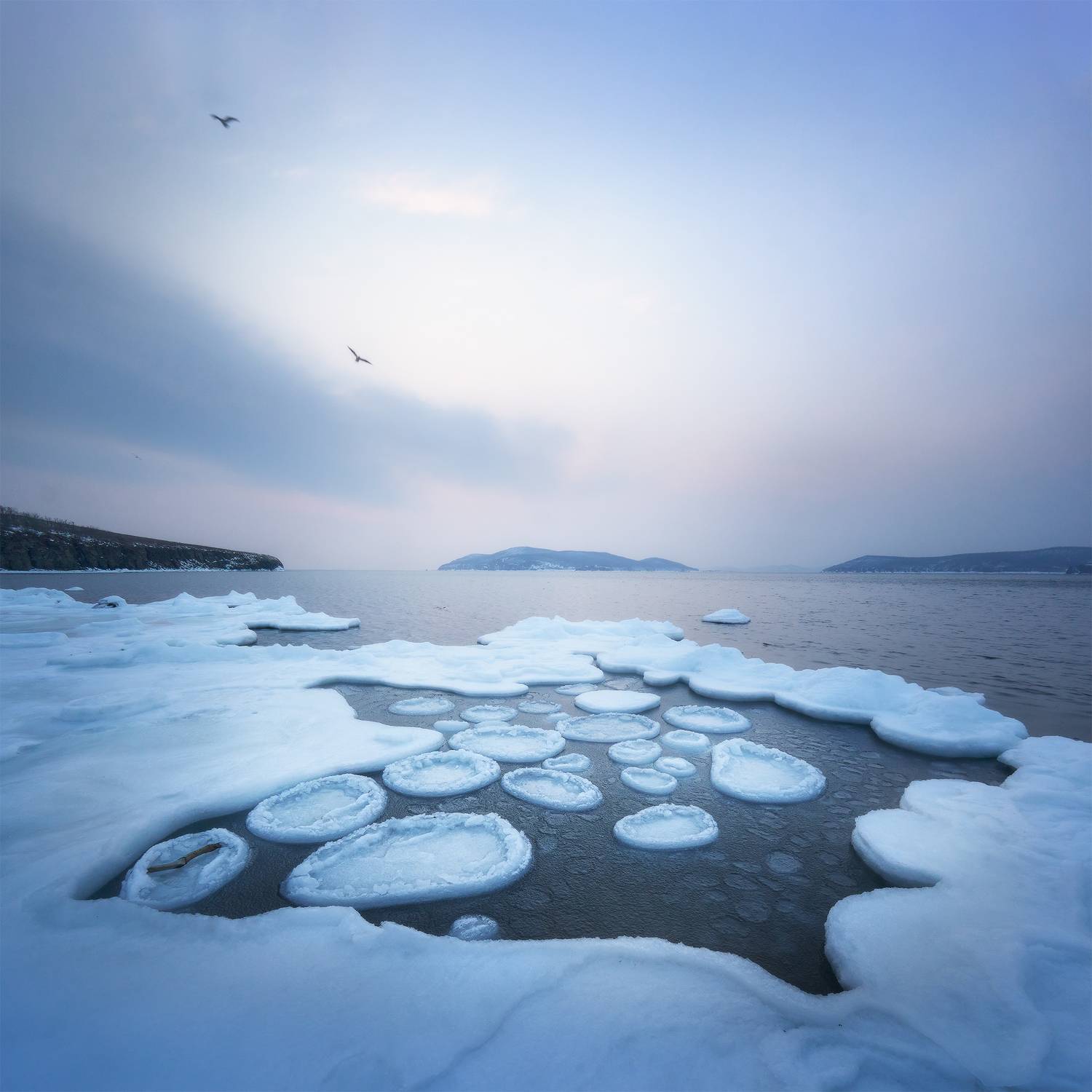 , Наталья Лабодина