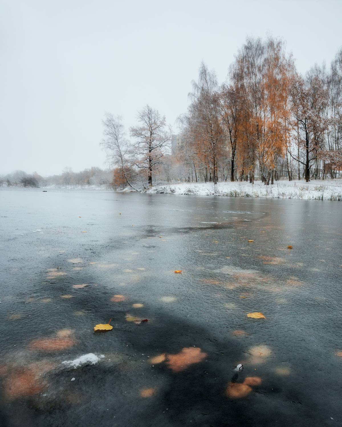 пейзаж, природа, зима, осень, лед, осенние листья, Московская область, Мартыненко Дмитрий